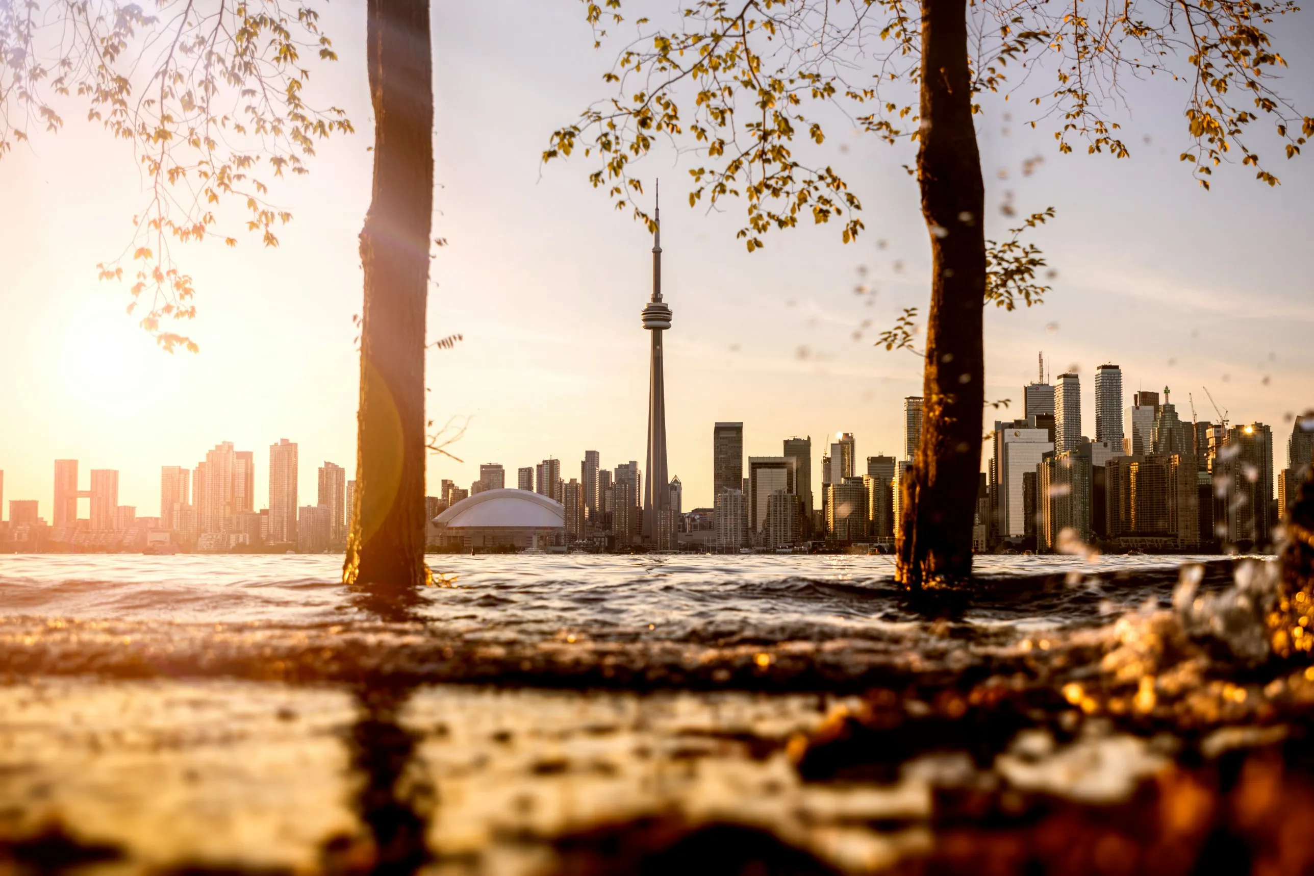 The Toronto skyline across the water at sunset, seen from the Toronto Islands